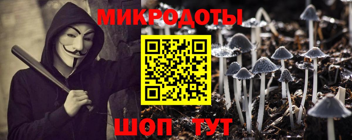 Псилоцибиновые грибы MAGIC MUSHROOMS Чита