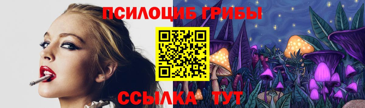 Галлюциногенные грибы Psilocybe  Вход с VPN  сколько стоит  Галлюциногенные грибы GOLDEN TEACHER  Чита 